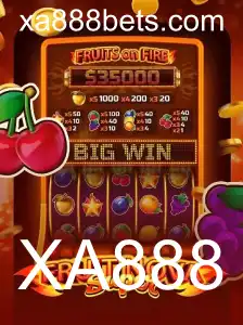 Descubra o Vibrante Mundo de FruitNovaSuper